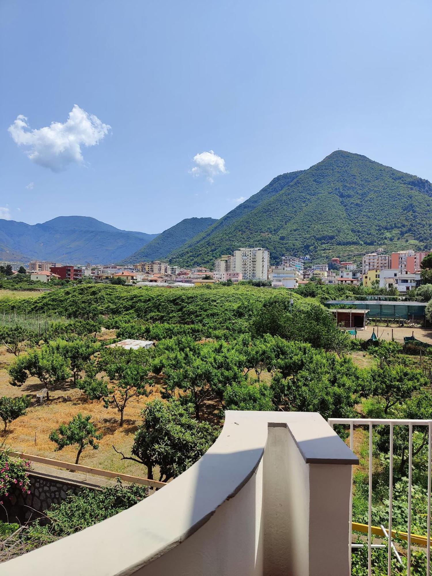 Villa Varano 卡斯特拉玛雷帝斯达比亚 外观 照片